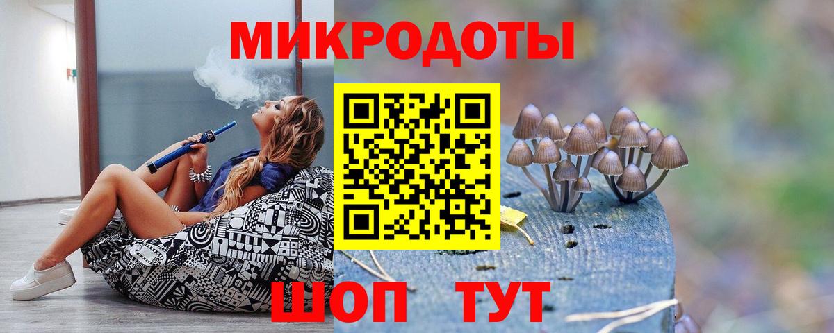 Псилоцибиновые грибы Psilocybine cubensis Калач-на-Дону